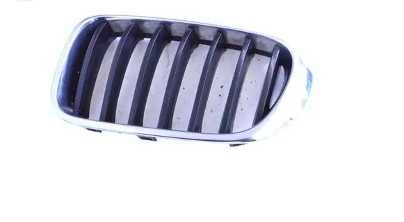 BMW X3 F25 Front bumper upper radiator grill 7338571