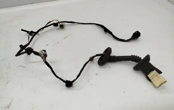 Rear door wiring loom