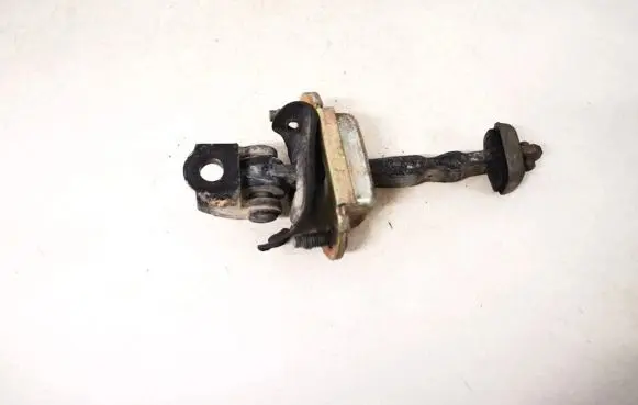 Ford Focus Rear door check strap stopper
