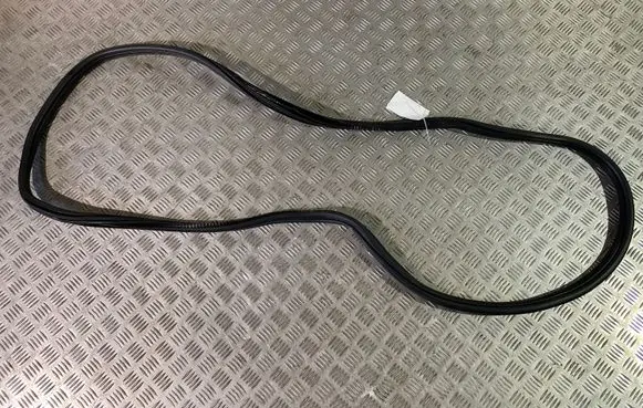 Rear door rubber seal (on body)