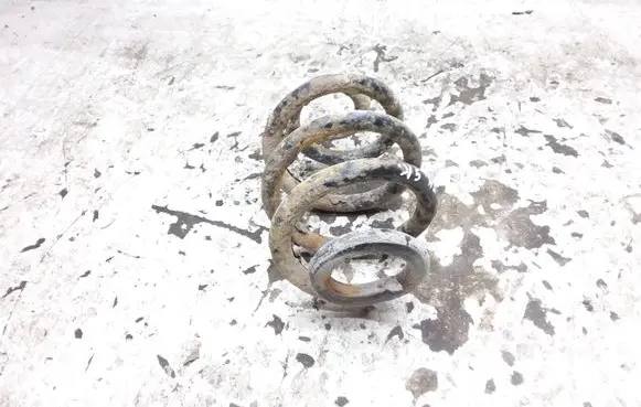 Volkswagen Transporter - Caravelle T4 Rear coil spring