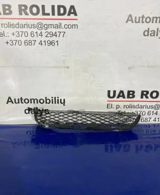 BMW X5 E53 Front bumper lower grill 7116398