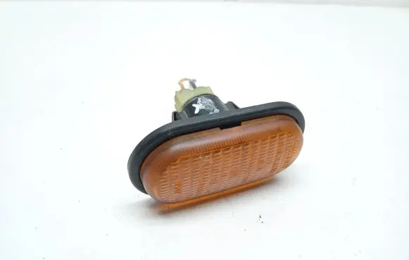 Renault Scenic I Front fender indicator light