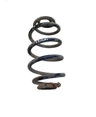 Rear coil spring
