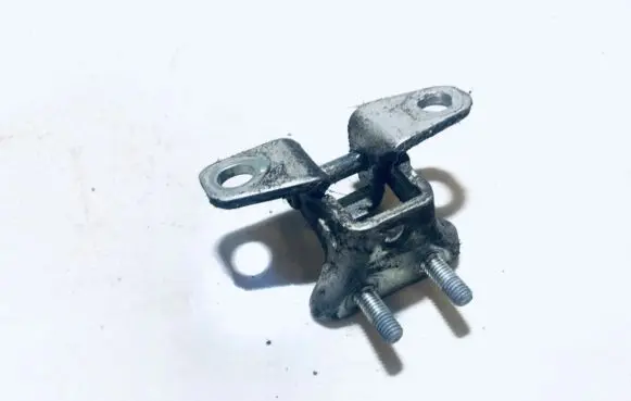 Rear door lower hinge