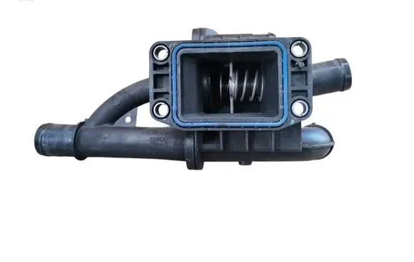 Thermostat/thermostat housing