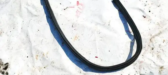 Dacia Sandero Rubber seal rear door