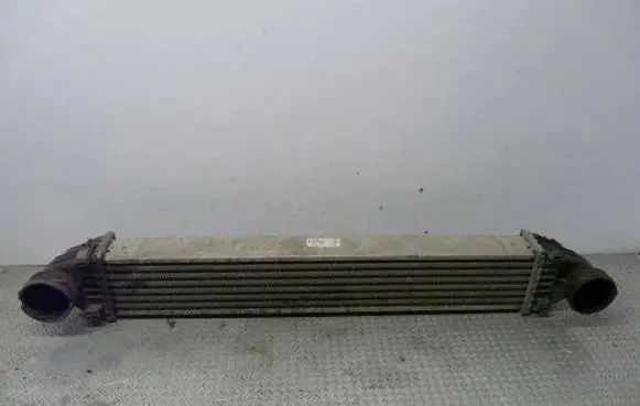Mercedes-Benz B W245 Intercooler radiator a1695000000
