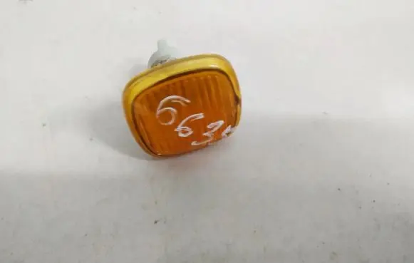 Front fender indicator light
