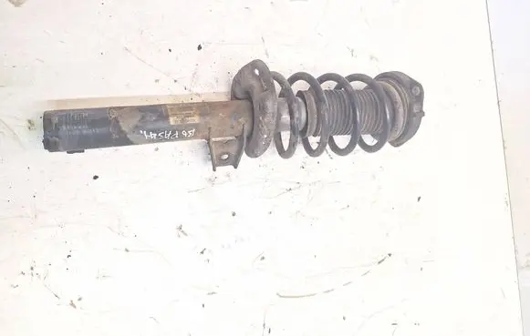Volkswagen PASSAT B6 Front shock absorber with coil spring 3c0413031