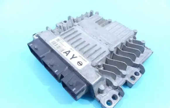 Engine control unit/module ECU