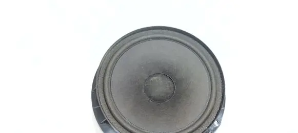 Volkswagen PASSAT B7 Rear door speaker 3C8035453
