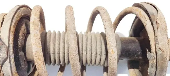 Mazda Premacy Front coil spring