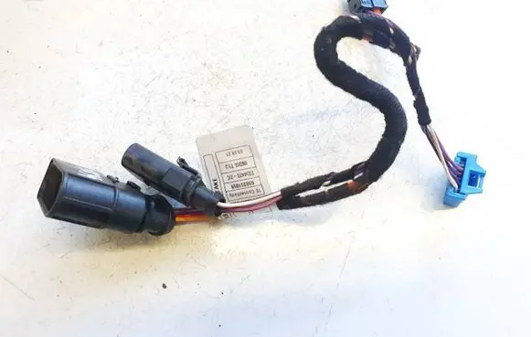 Cupra Born Other wiring loom 650351059