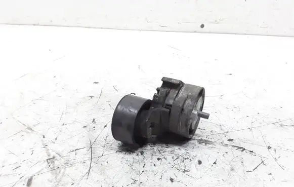 Peugeot 206 Generator/alternator belt tensioner 9638380780