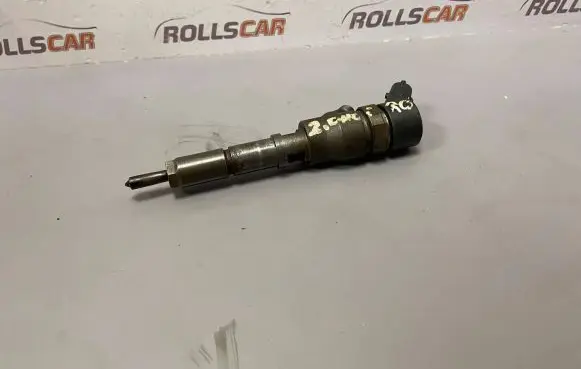 Citroen C5 Fuel injector 9640088780J 0445110062
