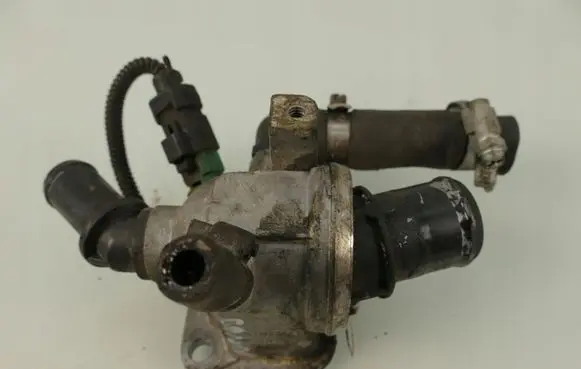 Thermostat/thermostat housing