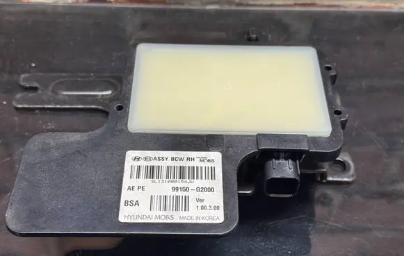 Blind spot module