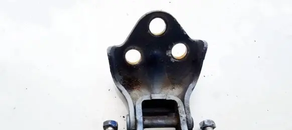 Volvo S40, V40 Rear door lower hinge
