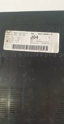 Peugeot 307 Fuse module 9651196980A