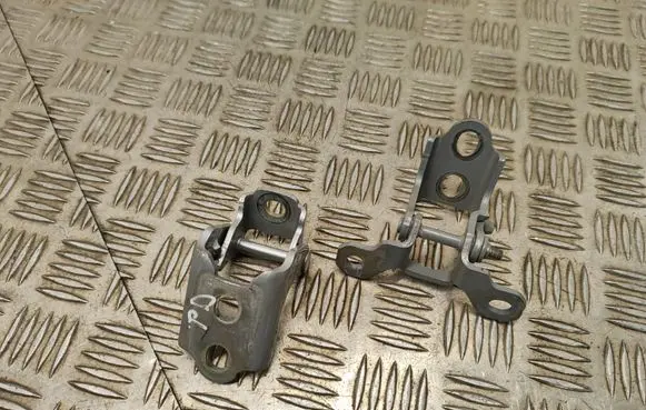 Renault Scenic IV - Grand scenic IV Front door hinge set 