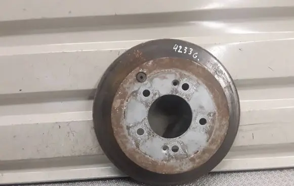Hyundai Santa Fe Rear brake disc 