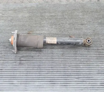 BMW X5 E70 Rear shock absorber/damper 6782877