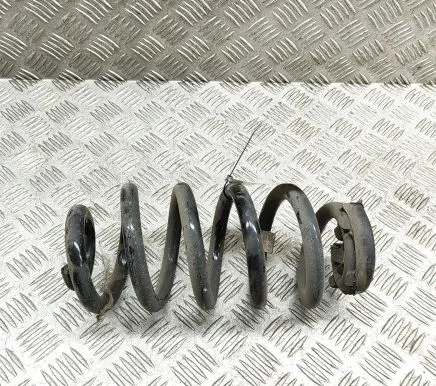 Volkswagen ID.4 Rear coil spring 1EA511103G