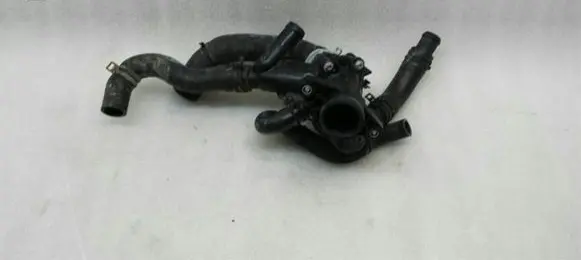 Thermostat/thermostat housing