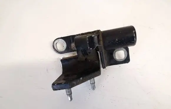Rear door lower hinge
