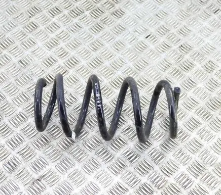 Tesla Model 3 Rear coil spring 104447201E