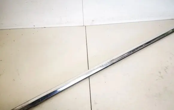 Hyundai Sonata Front door glass trim molding 