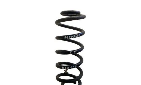 Rear coil spring