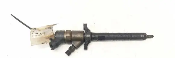 Citroen Xsara Picasso Fuel injector 0445110188 892080