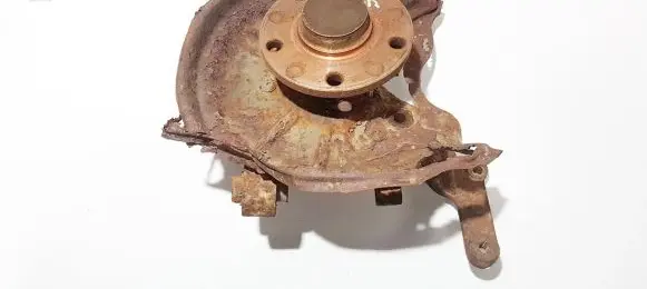 Skoda Octavia Mk2 (1Z) Rear wheel hub didzioji