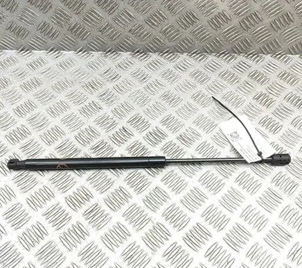Ford Mustang Mach-E Front bonnet/hood damper/strut LJ8BR16C827AB