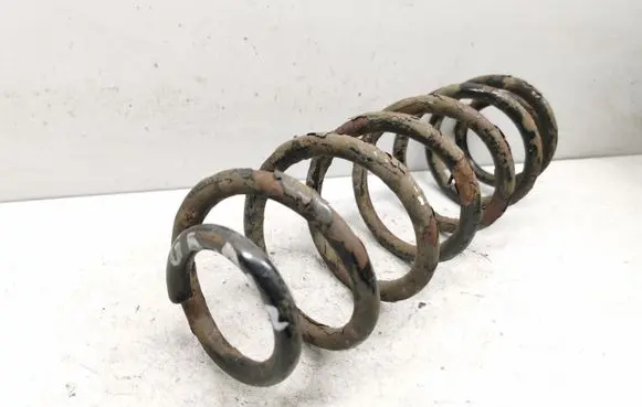 Volkswagen Golf V Rear coil spring