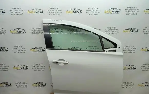 Renault Zoe Front door