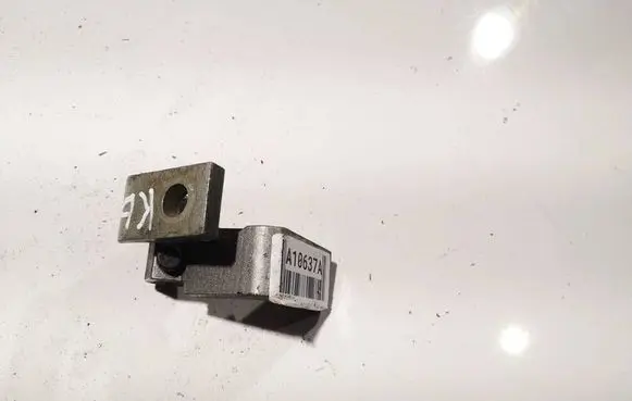 Rear door lower hinge