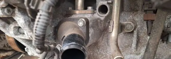 Engine coolant pipe/hose