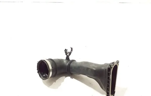 Renault Kangoo III Air intake duct part 290933462R
