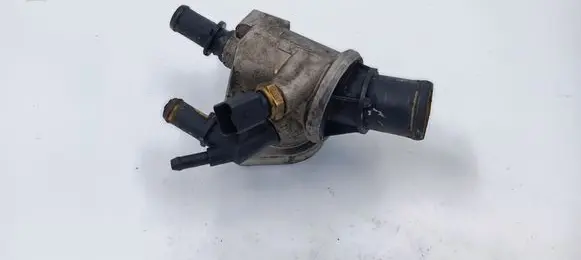 Thermostat/thermostat housing