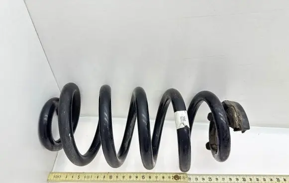 Rear coil spring