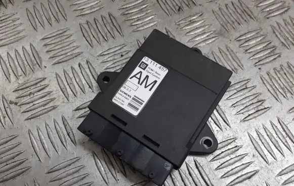 Opel Vectra C Door control unit/module 13111457