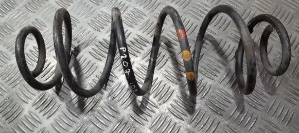 Rear coil spring