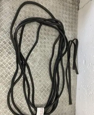 Volkswagen Tiguan Rubber seal front coupe door 