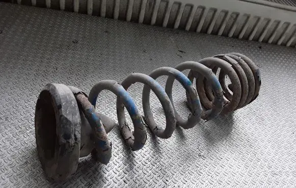 Renault Megane II Rear coil spring