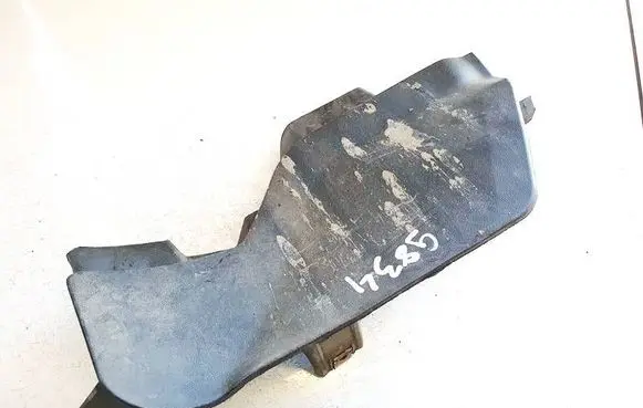Cupra Born Rear mudguard 10a854856b