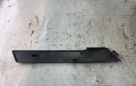 Rear door trim (molding)