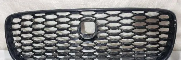 Jaguar F-Pace Front bumper upper radiator grill 1006